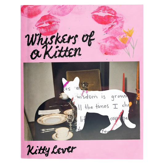 Whiskers of a Kitten